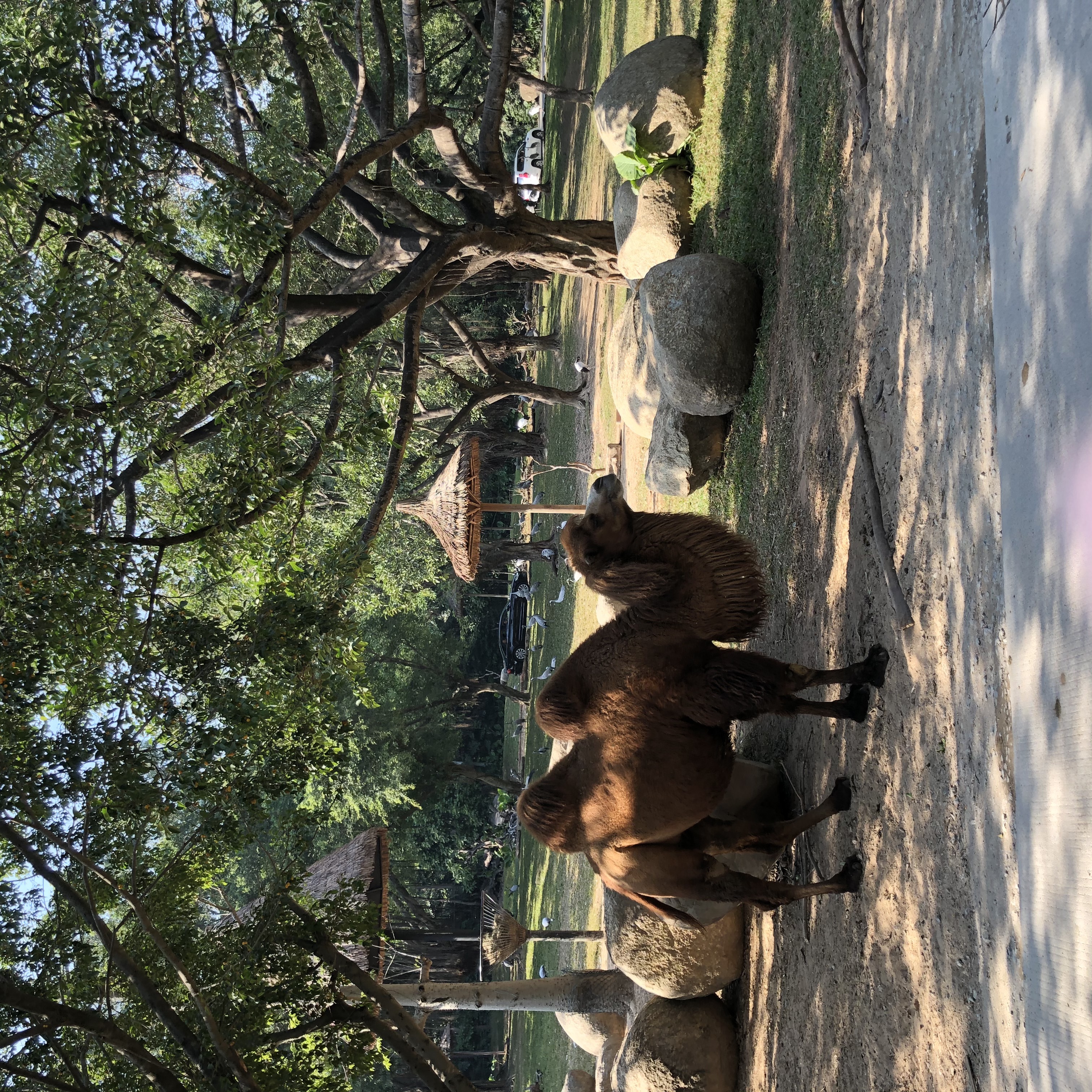 广州长隆游玩超详细亲子游攻略,史上最完整的广州长隆亲子游攻略