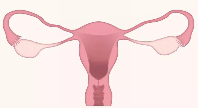 女性避孕要安全,女性健康必知长效避孕方法有哪些