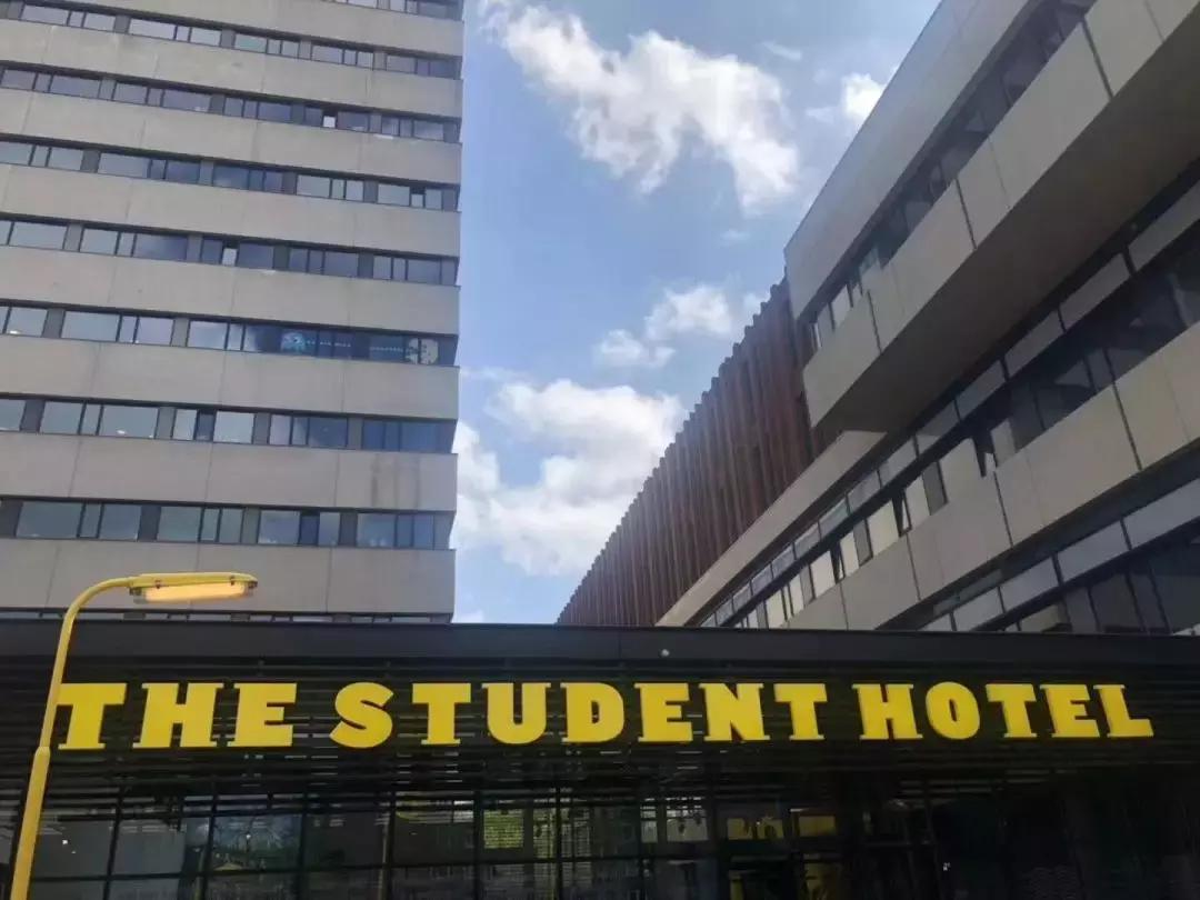 名师探访——风中国度的自由之花，荷兰阿姆斯特丹大学