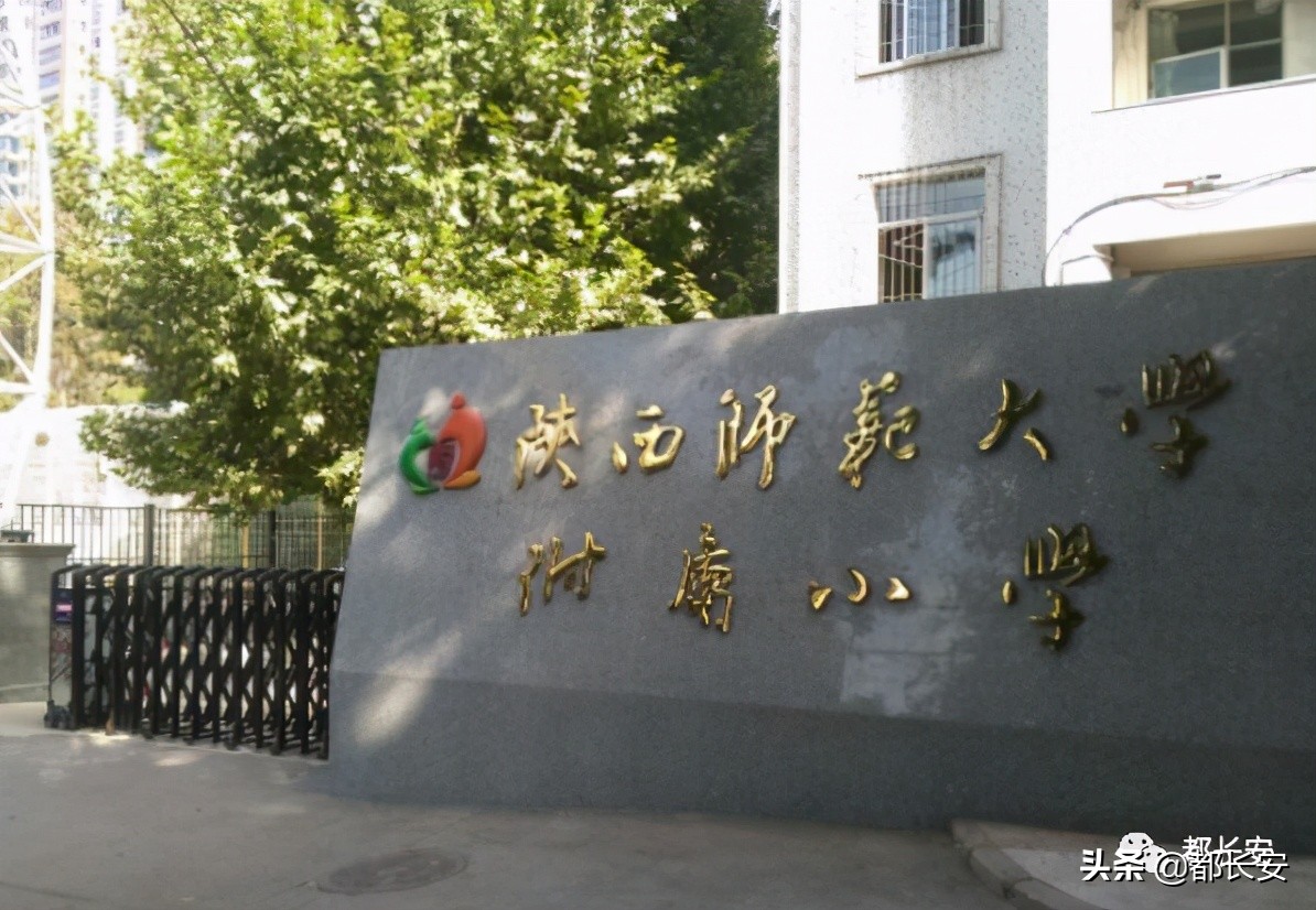 在西安上小学，选民办还是公办？到底是公办强还是民办好？