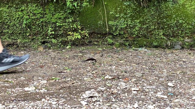 adidasterrex鞋子防水吗,adidasterrex徒步鞋测评