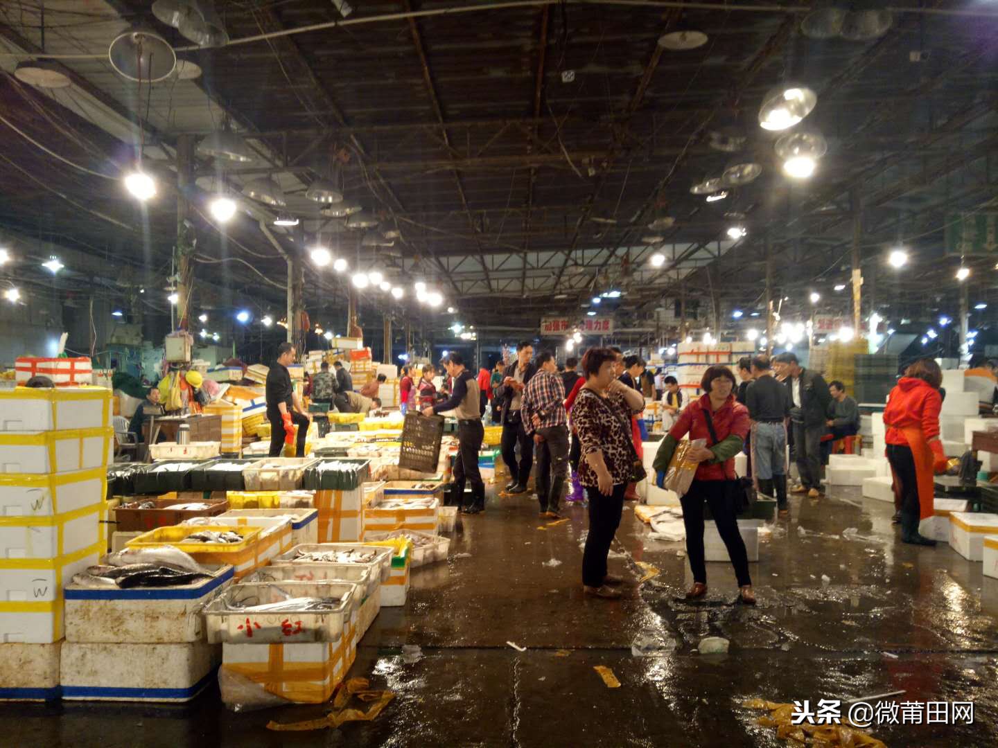 莆田的海鲜批发市场,莆田最大的海产品批发市场在哪里