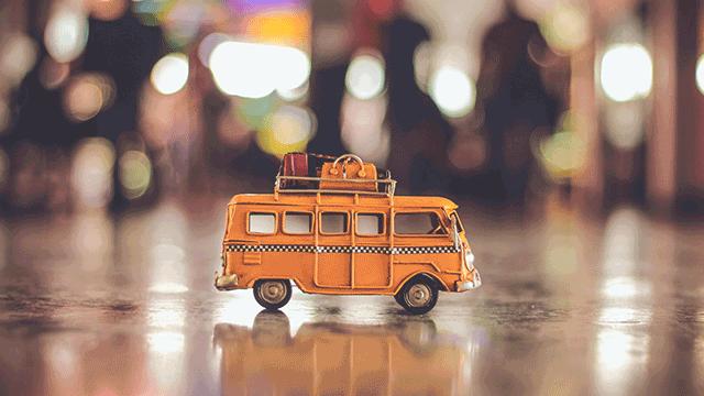 知识是知识脑子是脑子,知识是学生的什么