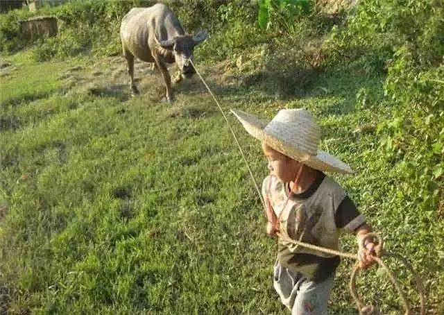 带你寻找记忆中的童年,我的童年既是怎样的又是怎样的