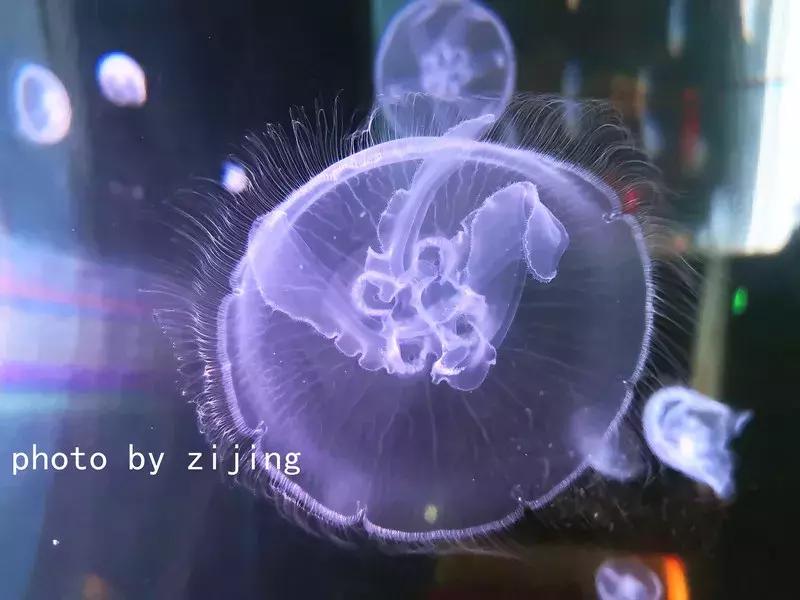 淮安清江浦运河游记,运河古都淮安一日游