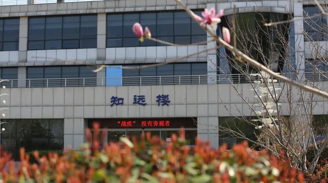2020年高考398分能上什么大学山东,春考3+2有哪些专科院校山东2019