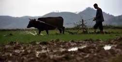 伏牛笔耕苑第214期2021.3.6