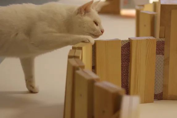 90后跨境电商创业大佬,90后电商小伙事业有成