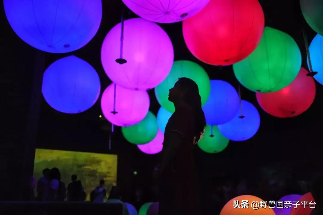 带孩子新加坡4天够玩吗,新加坡带孩子自由行几天