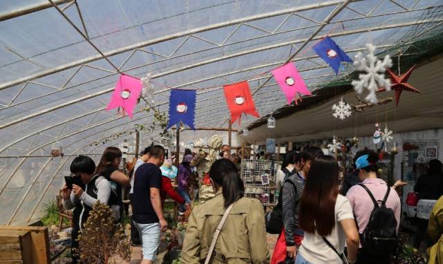 澶氳倝澶х浜屾湪,澶氳倝杈句汉浜屾湪