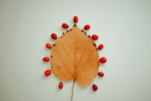 面对婚外情的女人男人应该怎么办,怎样对待男人的婚外情