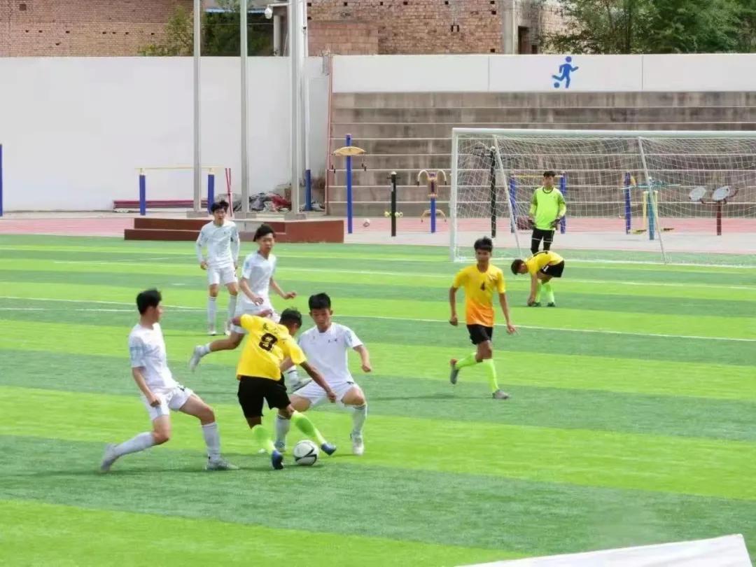 武威市体育运动学校光荣榜,武威喜报