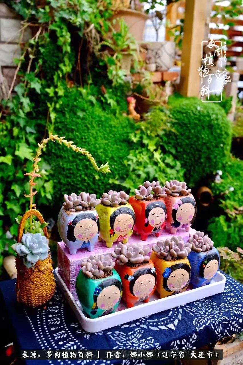 你是盆我是花，你护我周全，我为你绽放