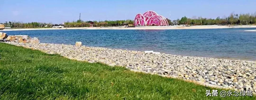 南阳世界月季大观园开幕邀请,南阳月季大观园门票现在免费政策