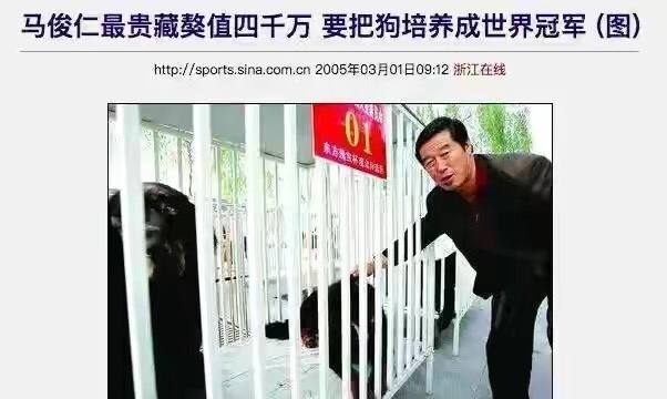 藏獒市场的兴起和崩塌,藏獒从身价不菲到沦为狗肉