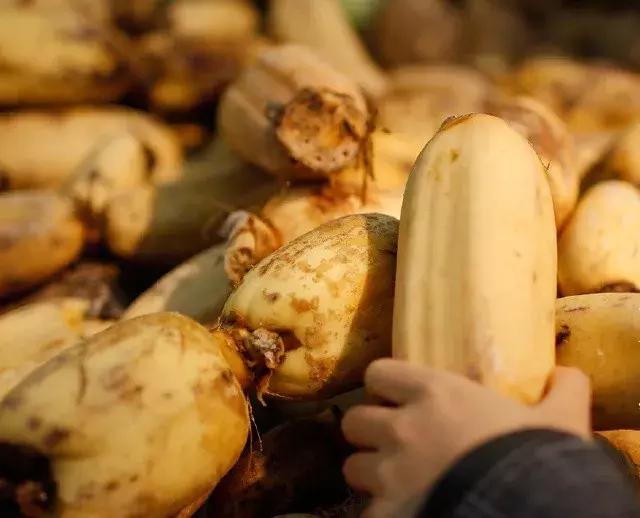 半天卖出500斤！这玩意全身是宝，一到秋天杭州人就扎堆去吃