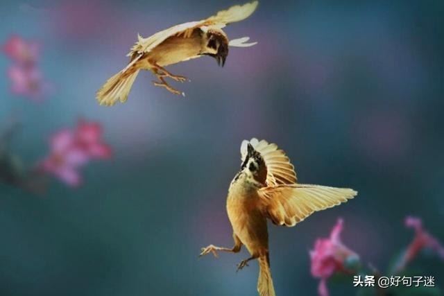 人生感悟英文短句子,句句入骨,看完你会明白很多!