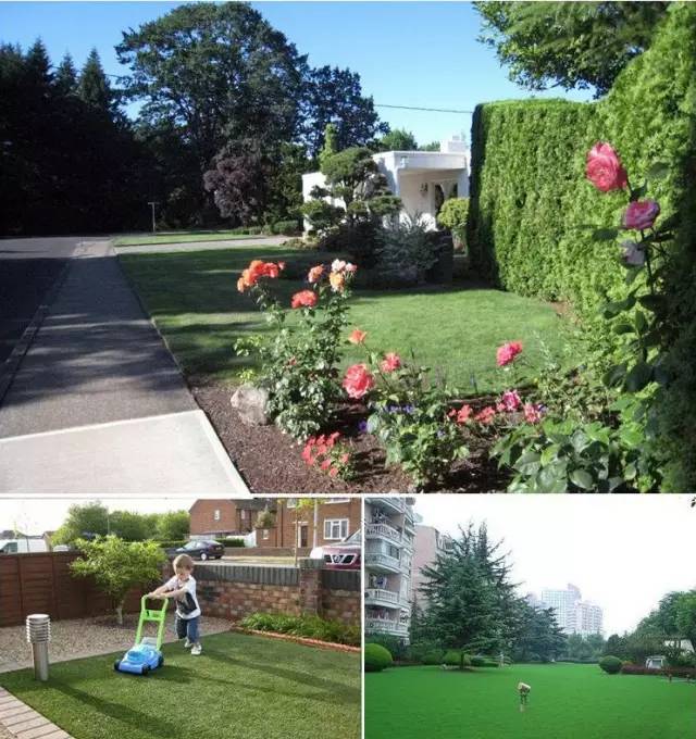 花园草坪怎么种植,花园草坪的种植与养护经验大总结