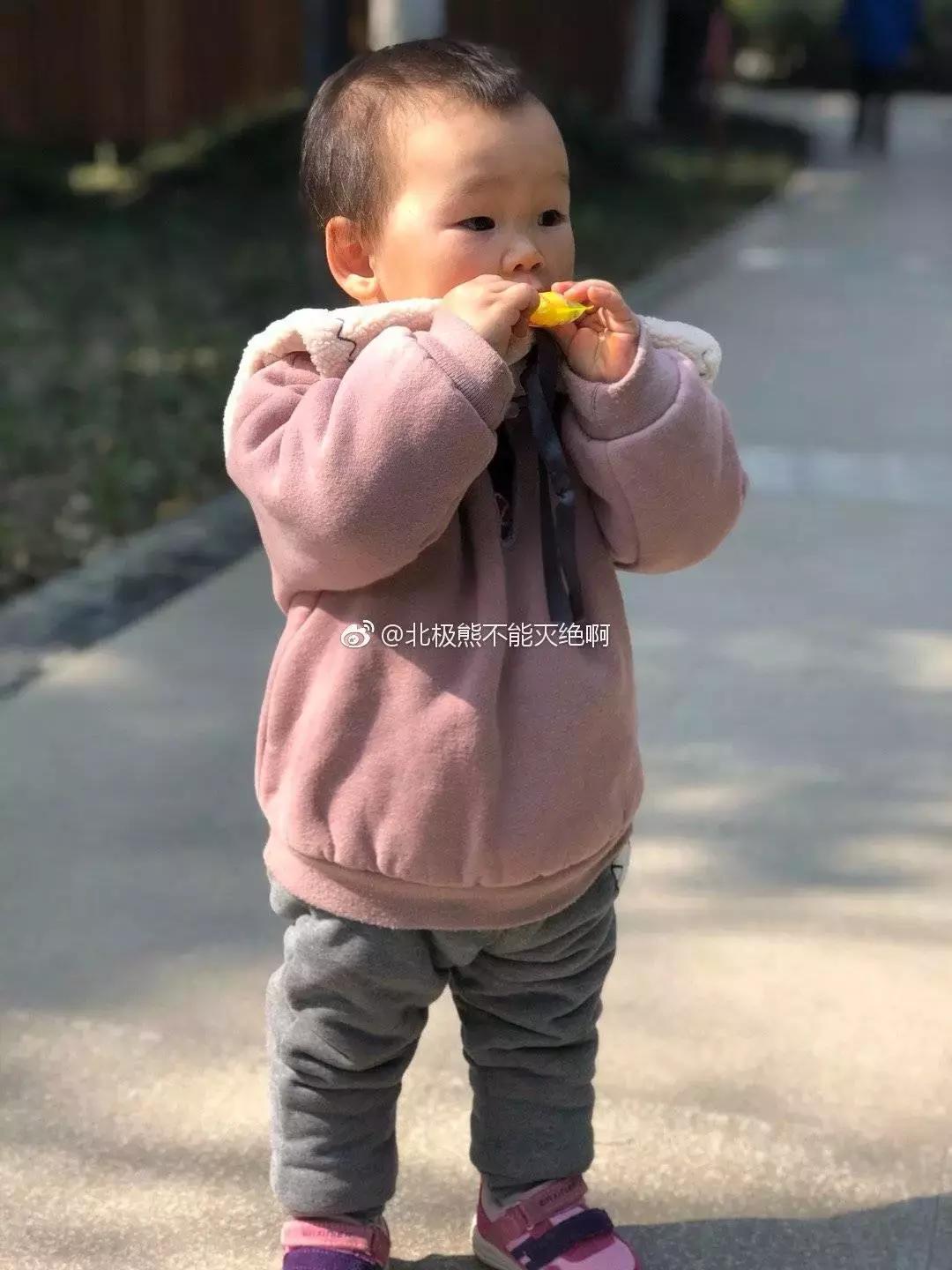 3月底天府绿道哪段最美,天府绿道介绍及特色