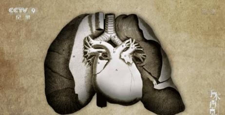 在学习强国看电视剧,能在学习强国看的电视剧