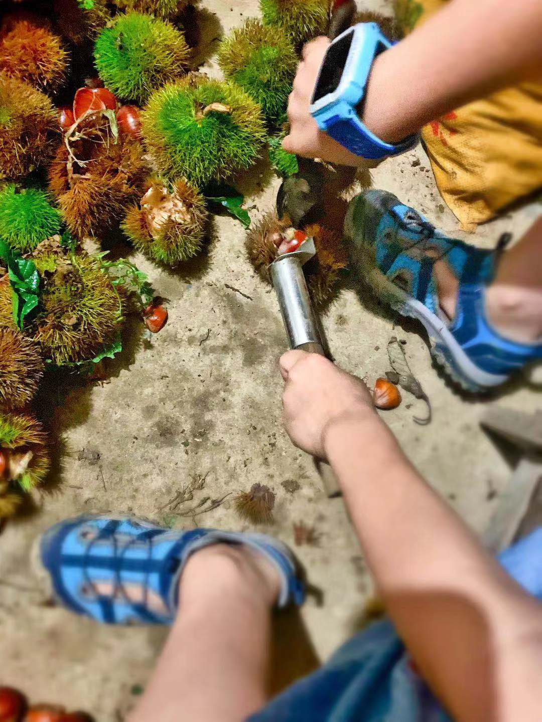 农村7岁小孩在做什么,7岁男孩回家玩什么