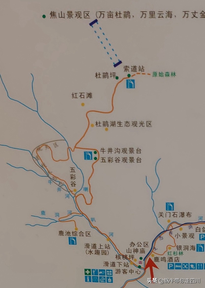 带小朋友出去看小动物,带小孩去海洋动物园