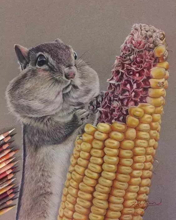 画得比实物好看,彩铅怎么样能画好看