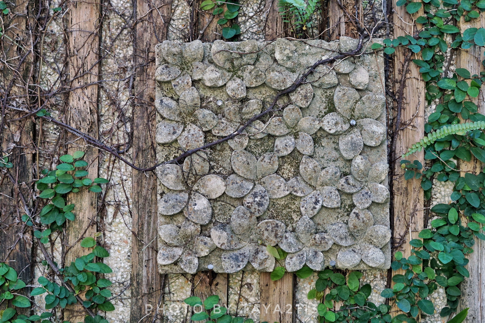 垦丁住宿推荐,垦丁五星级酒店有哪些