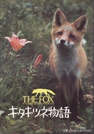 致敬多部经典老电影的电影,推荐很有艺术的电影