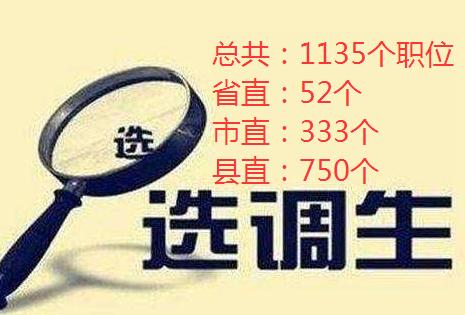 河北邯郸2020选调生,河北选调生2024选调公告报考条件