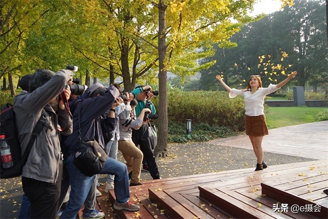 世博公园银杏林摄影照片,上海世博公园银杏最佳摄影机位