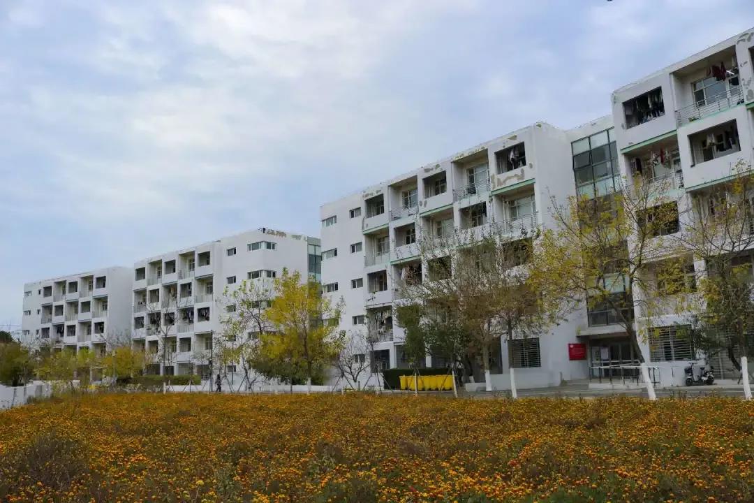 辽宁省高校（三十一）大连医科大学