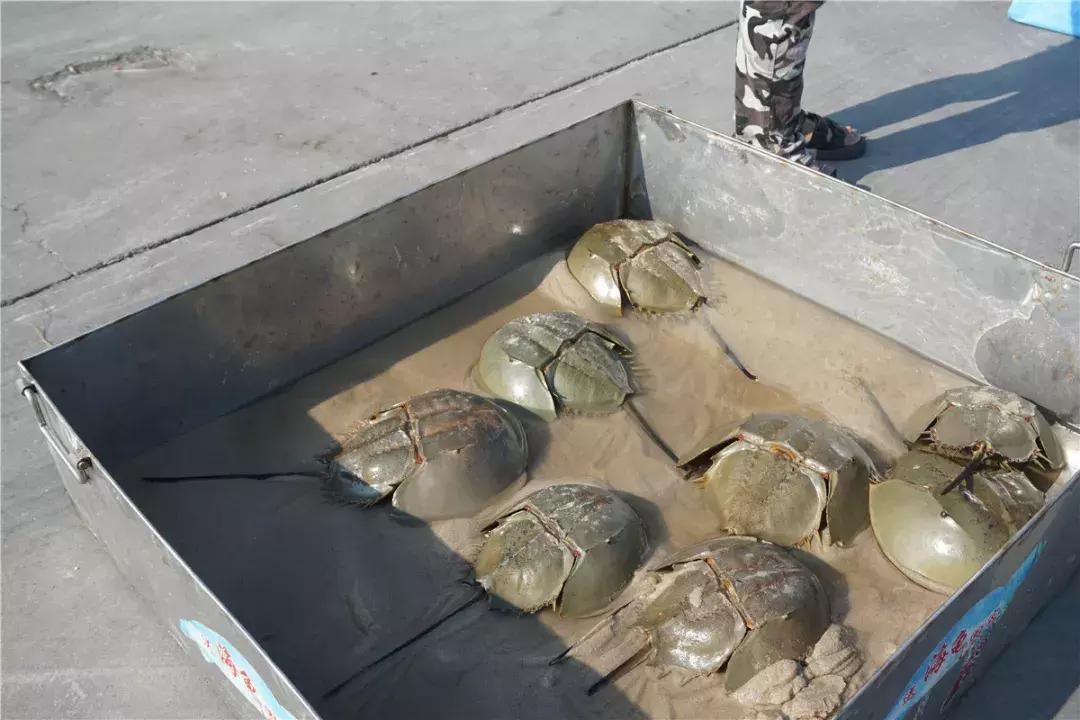 中秋大家回家了吗,中秋都回家了吗