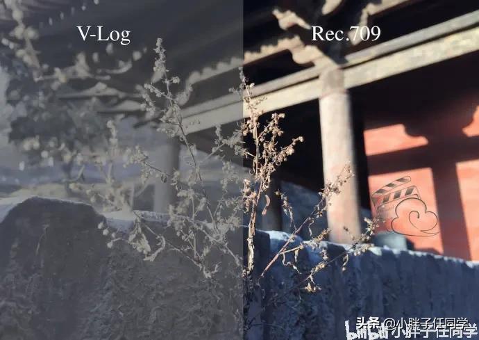 尼康d850拍摄视频用什么镜头,尼康d850配556镜头感受