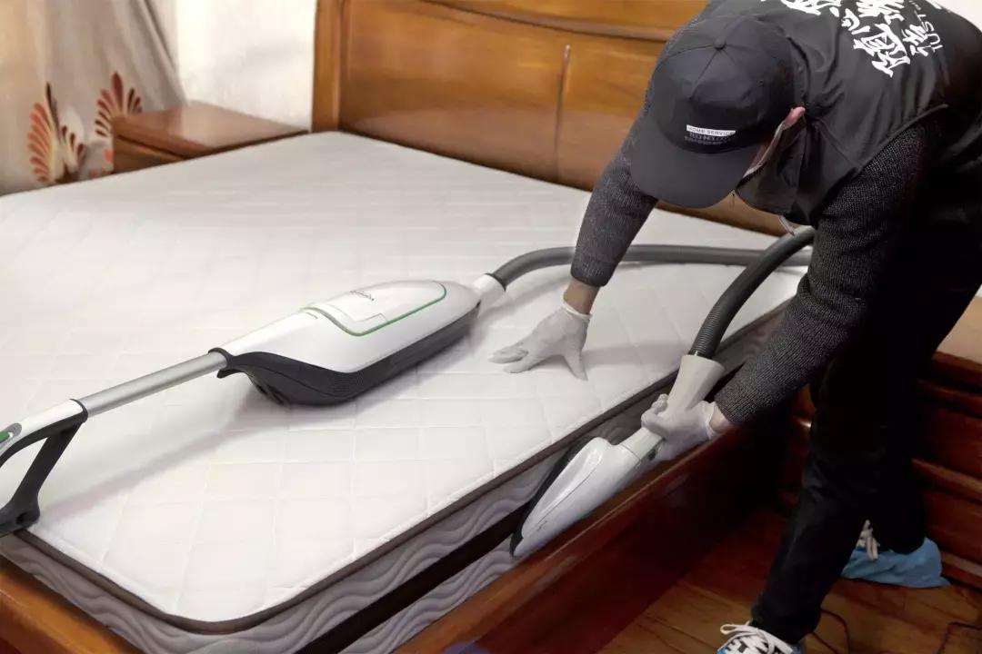 仓鼠小百科|你知道你睡的床上每天都有千万螨虫在吃你的皮屑吗