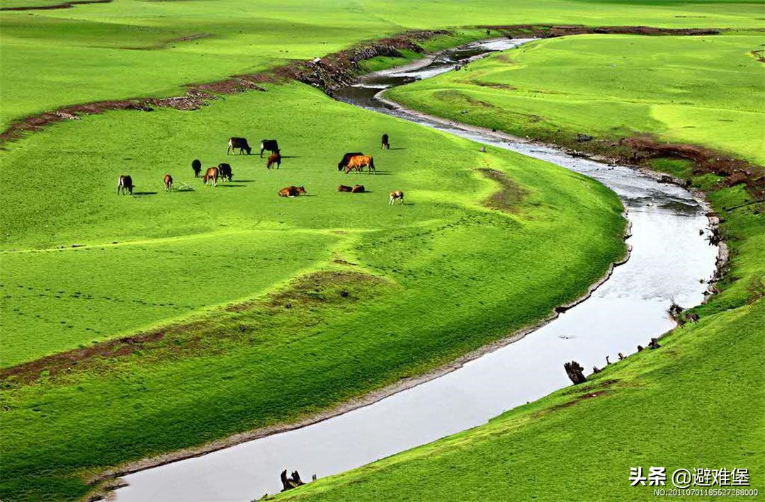 有高原特殊水质的辅助，藏族人每天吃肉和酥油，却很少有“三高”