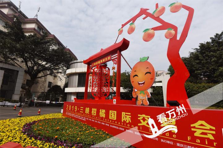 三峡柑橘展馆交易会,三峡柑橘国际交易会快报