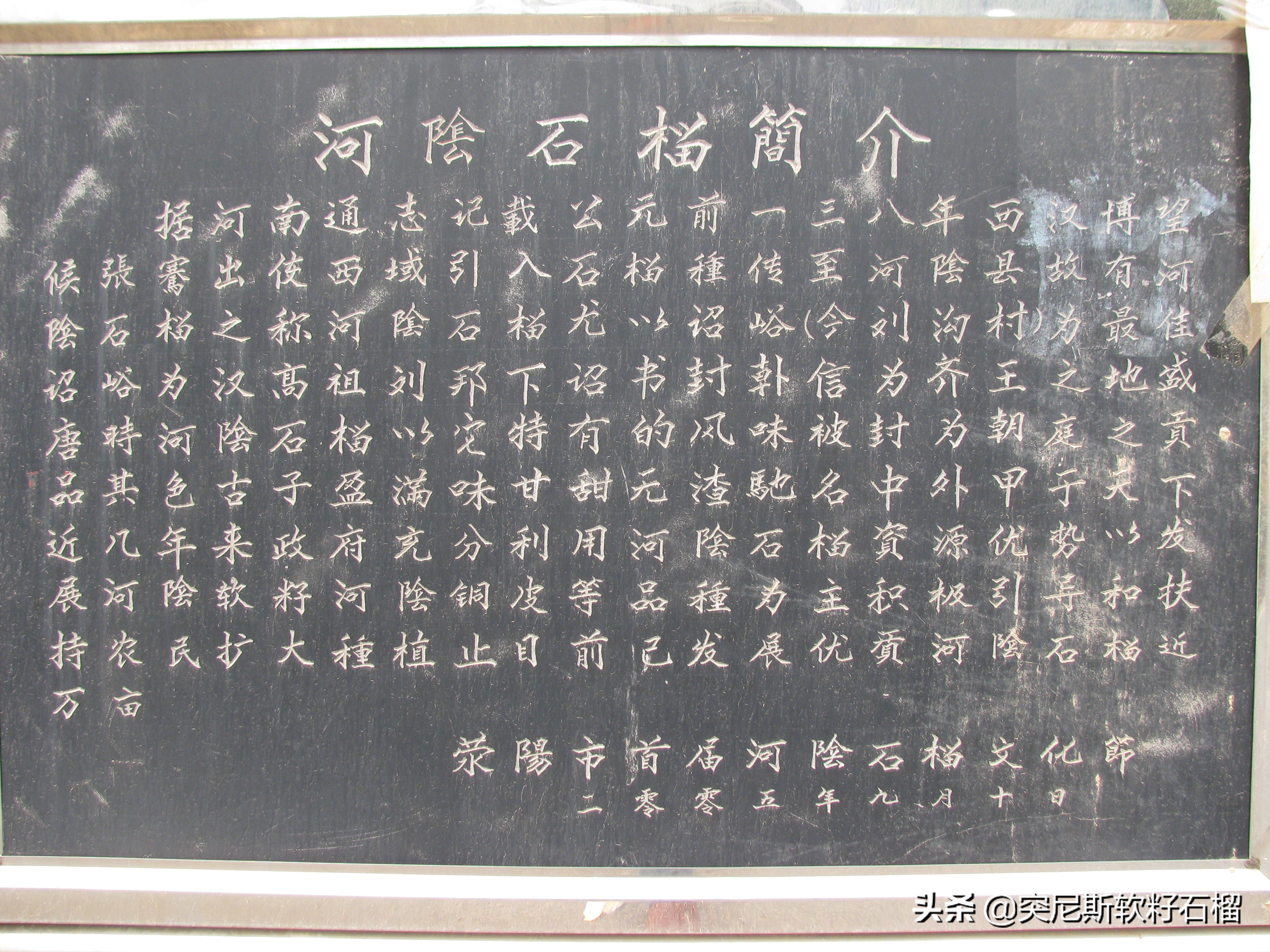 你对突尼斯软籽石榴了解多少,突尼斯软籽石榴的正确打开方式