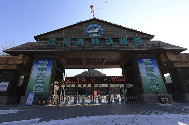 沈阳亲子游有什么好玩的地方,沈阳适合亲子游的地方