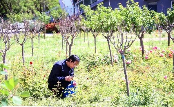 顺义城南体育中心室外场地开放,顺义区城南体育场开放时间