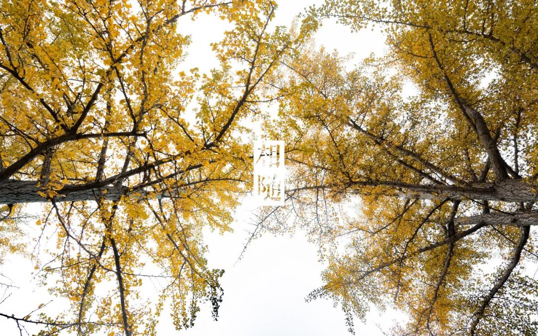 美过三亚!比厦门浪漫!中国这座海滨老城,去一次相当于环游世界