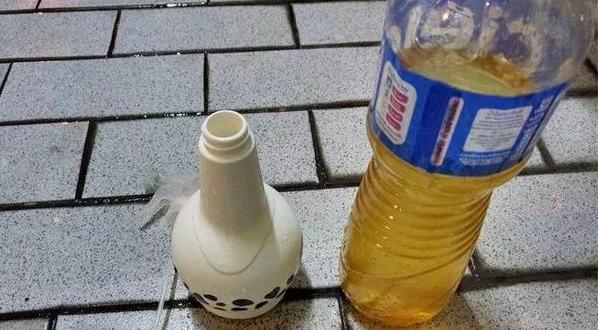 3月花卉预防什么病虫害,3月底哪些月季招虫子