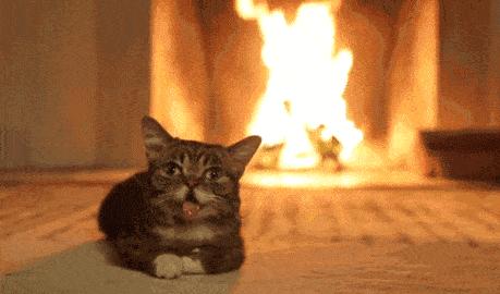 大宇石墨烯踢脚线取暖器测评,韩国大宇踢脚线取暖器怎么样