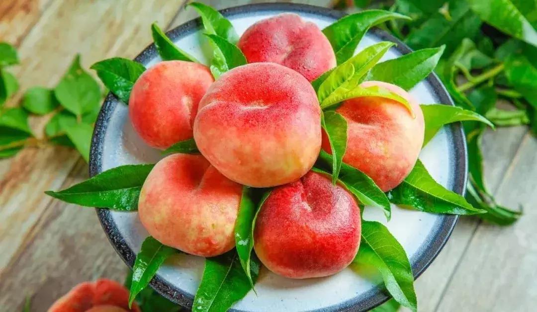 南京六合金牛湖艳阳农庄,艳阳农庄优惠