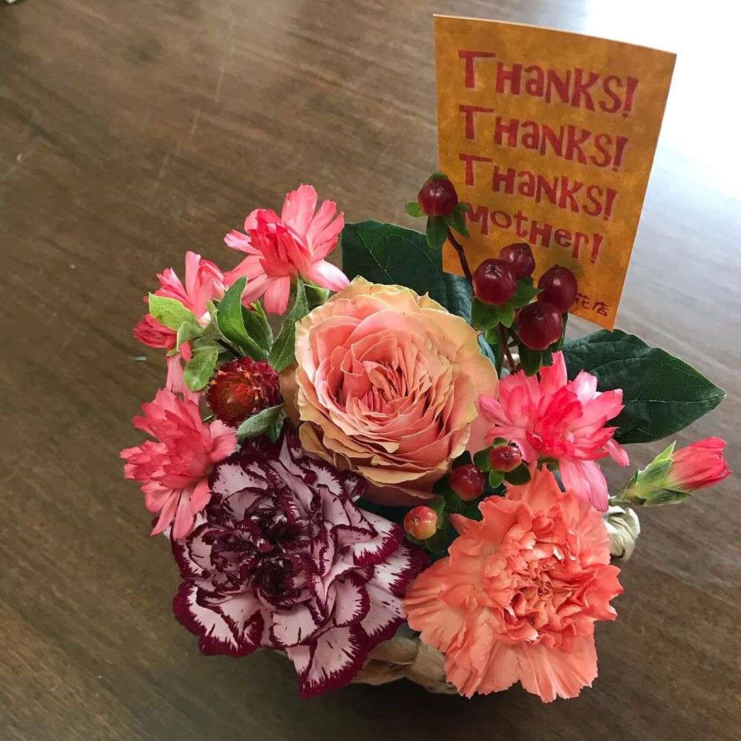 母亲节为什么要送女朋友礼物,母亲节送什么颜色的康乃馨