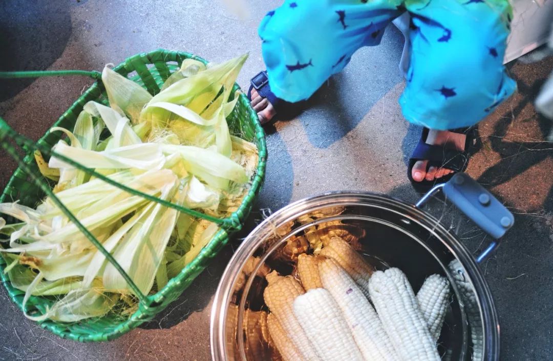 浙江杭州民宿3天二晚,浙江浦江登高村春社民宿