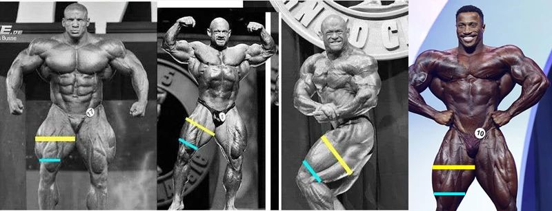 最漂亮大腿，从来不是上下一样粗！——“髋主导”技术定胜负