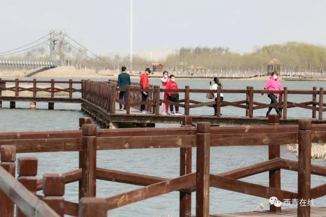 天津最近新开放的公园,天津东疆亲海公园2022年开放吗