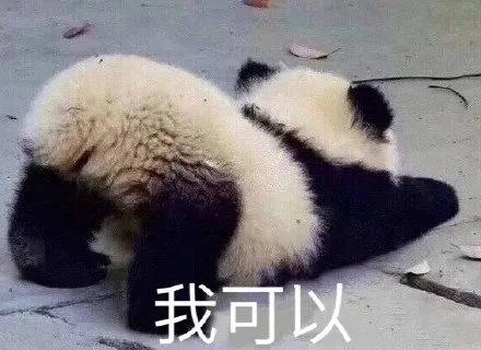 拖不起！男孩突然“蛋疼”不止，隔天送医被切除