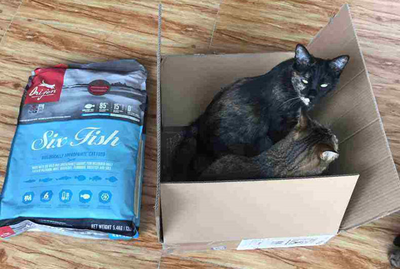 渴望六种鱼猫粮靠谱吗,渴望六种鱼猫粮是什么味道的